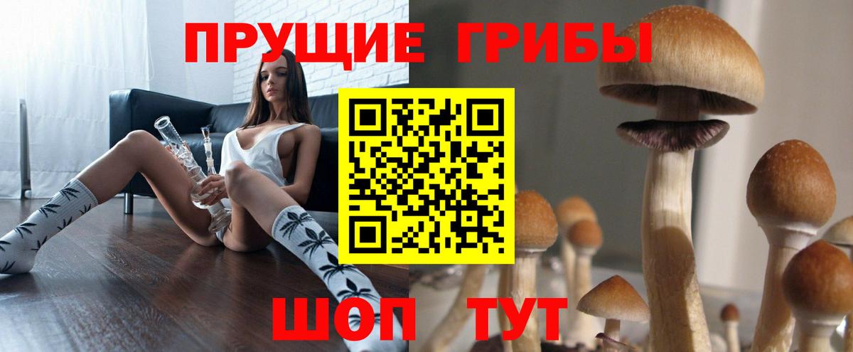 Улан-Удэ  Псилоцибиновые грибы GOLDEN TEACHER  Вход с VPN  Псилоцибиновые грибы мухоморы 